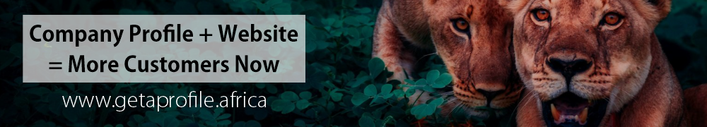 GetAProfile.Africa